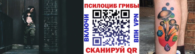 Псилоцибиновые грибы прущие грибы  наркошоп  мега как войти  Петровск-Забайкальский 